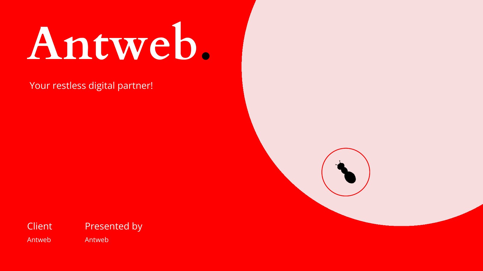 Antweb brand development case study cover